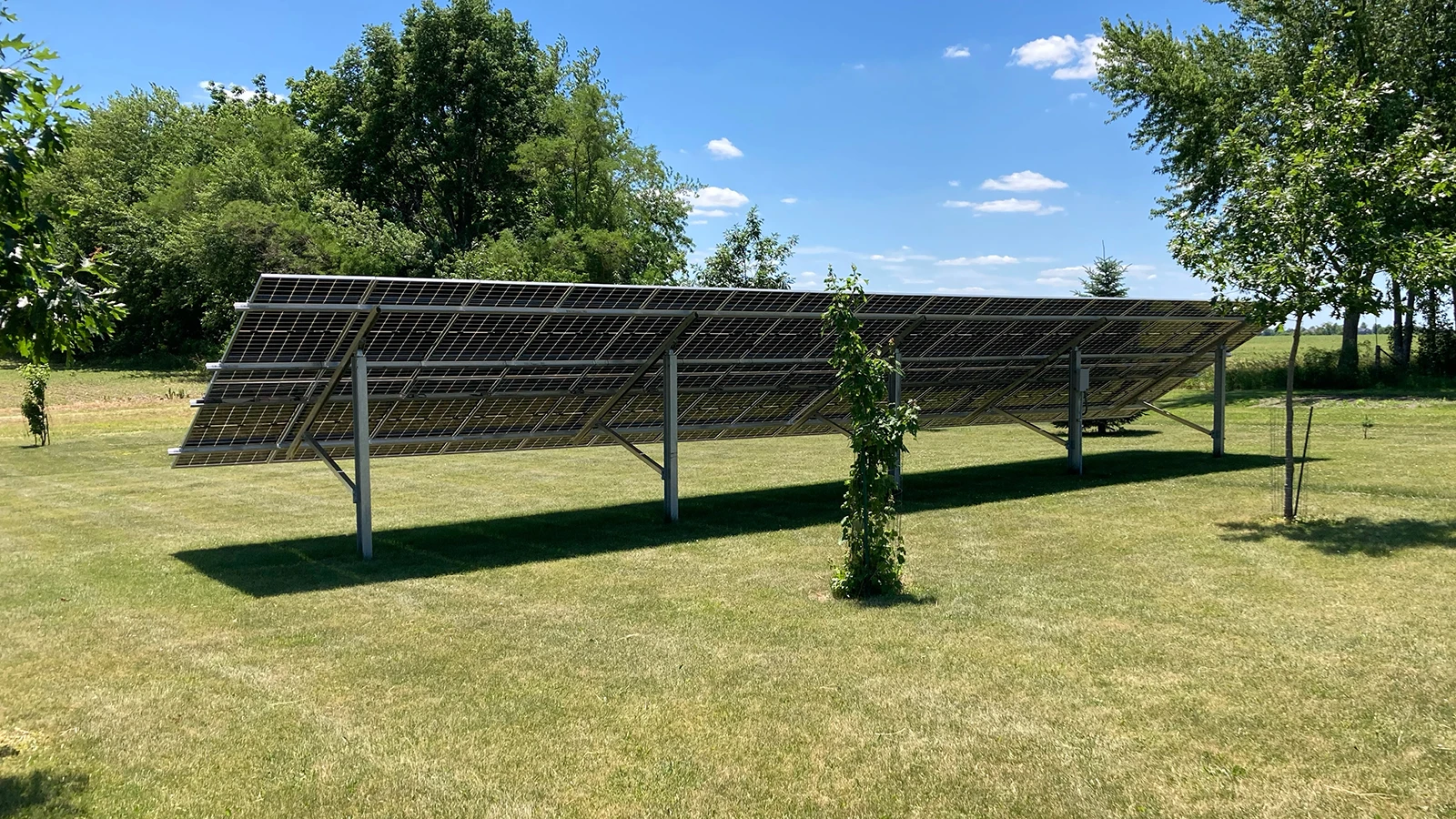 Ground Solar Panels